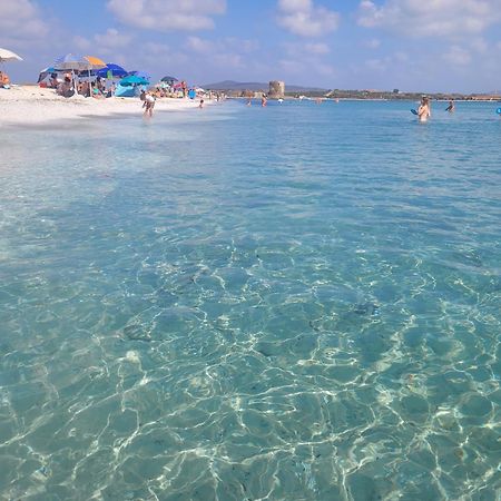 Domo Azuni Daire Sassari Dış mekan fotoğraf