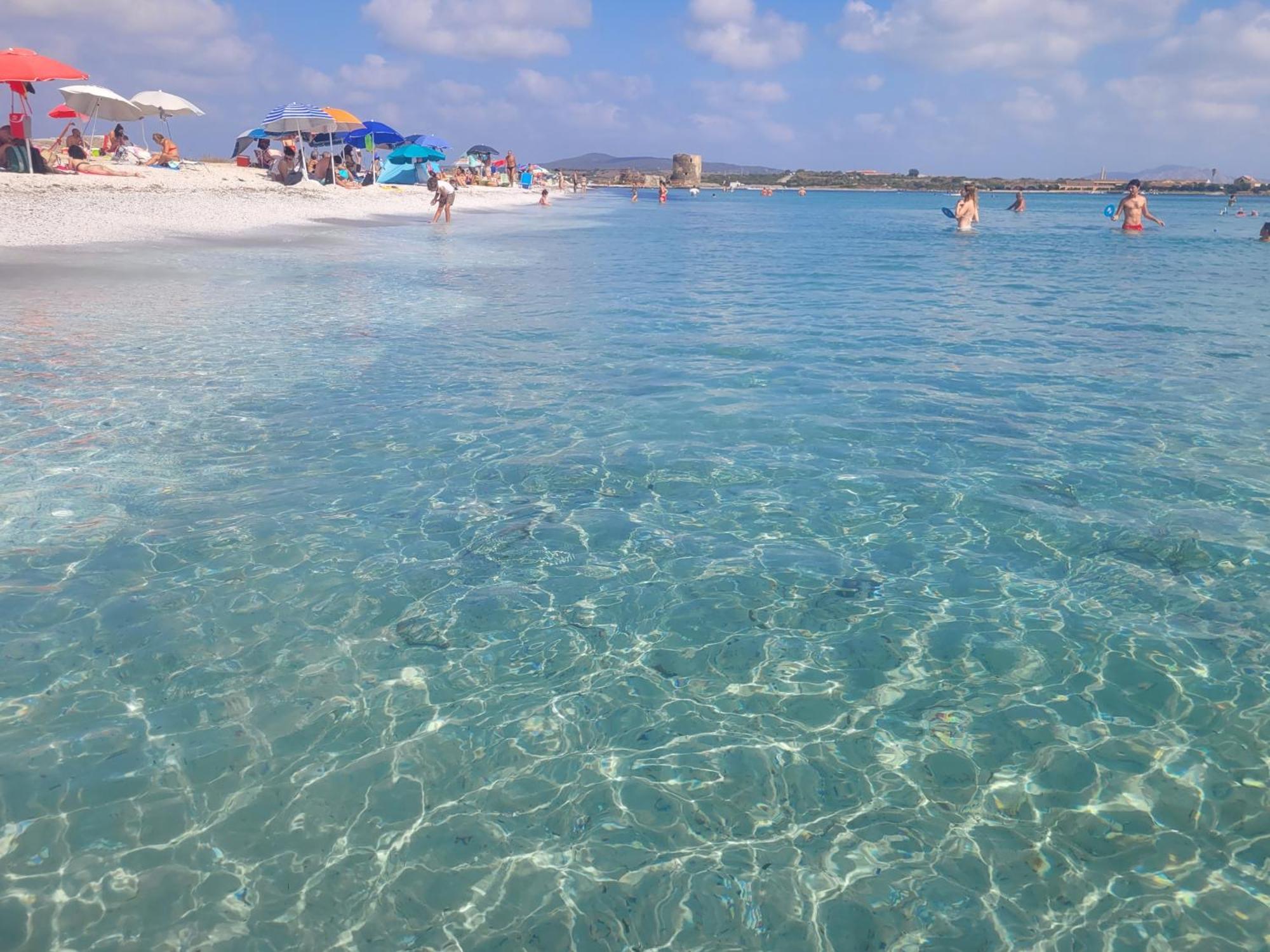 Domo Azuni Daire Sassari Dış mekan fotoğraf